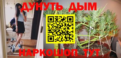 стаф Жуковский